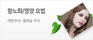 항노화/영양요법